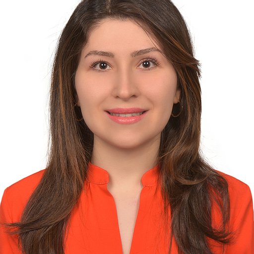 Parisa Safaei