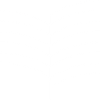 Green University of Bangladesh logo