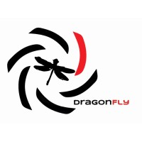 Dragonfly logo