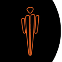 Stereosis School of Photography logo