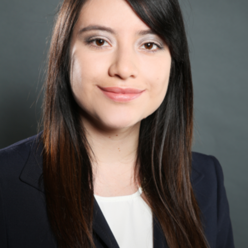 Diana Carolina  Leguizamon