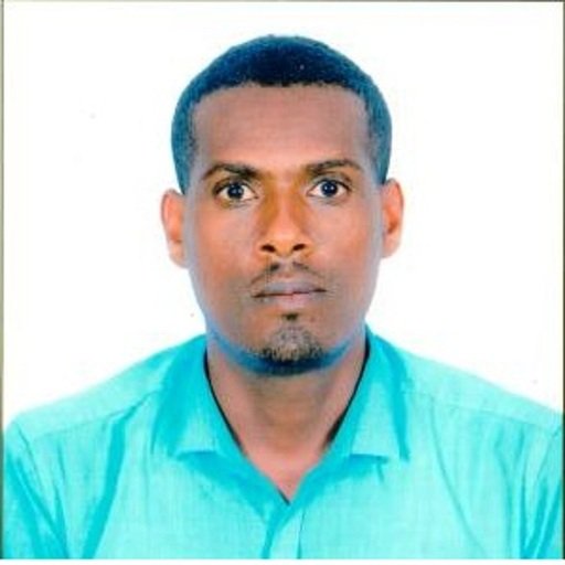 Mulugeta Werku Obsi