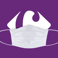 Grupo Carrefour logo