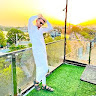 fardeen khan