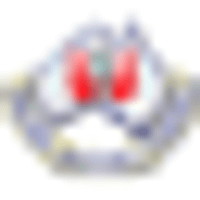 Wireless Institute of Australia logo