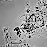 ahmed baroud