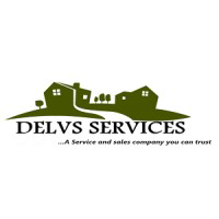 Delvs Services logo