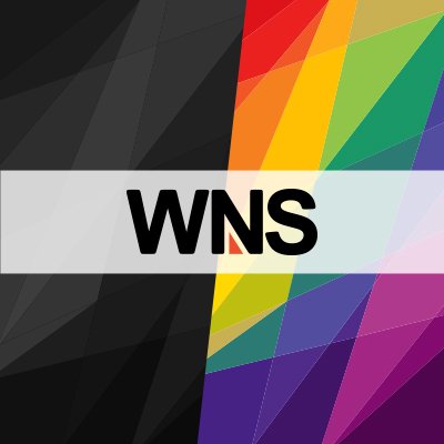 WNS holdings logo