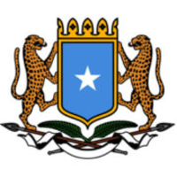 Government Networks logo