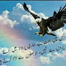 Ammar Ahmad