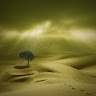 Trung Le