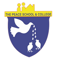 The Peace Group Of Schools And Colleges logo