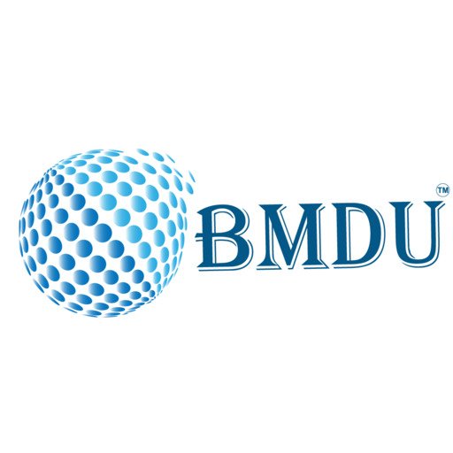 B M Digital Utilization LLP logo