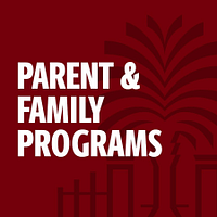 The University of South Carolina logo