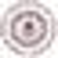 Sardar Patel Institute of Technology logo