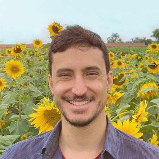Ian Ribeiro