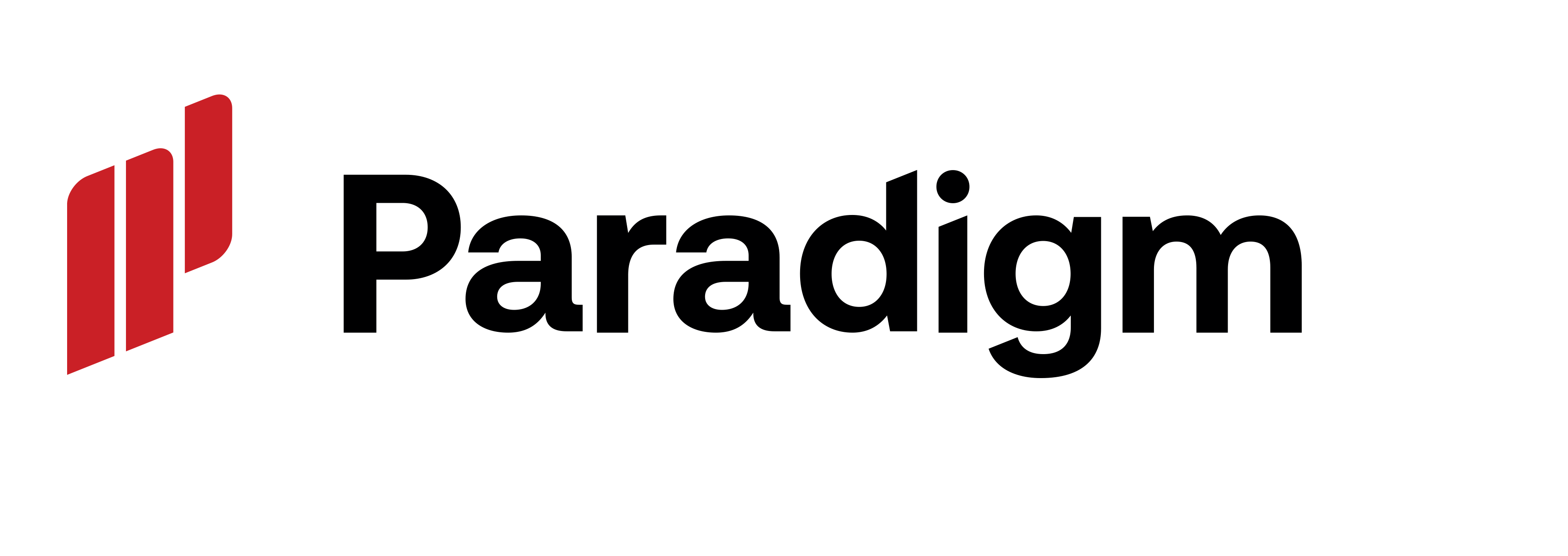 Paradigm logo