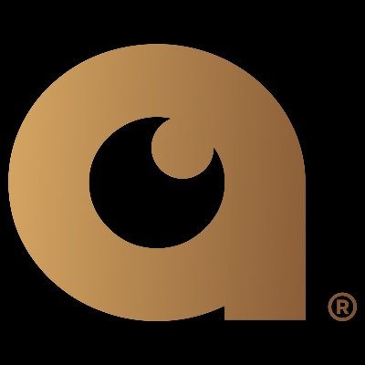 Audigent logo