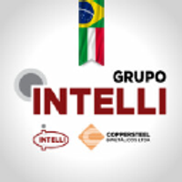Intelli - Industria de Terminais Eletricos Limitada logo