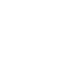 Vistula University logo