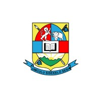 University of Eswatini logo