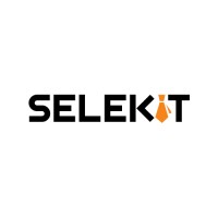 SelektIT logo