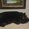 Harlan F Butt