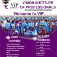 Vision Institute of Professionals logo