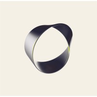 Raenest Business logo