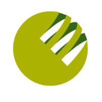 cairnmartin consultants logo