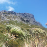 Brazenana Mtikane