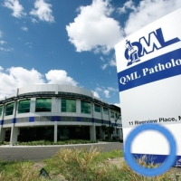 QML Pathology logo