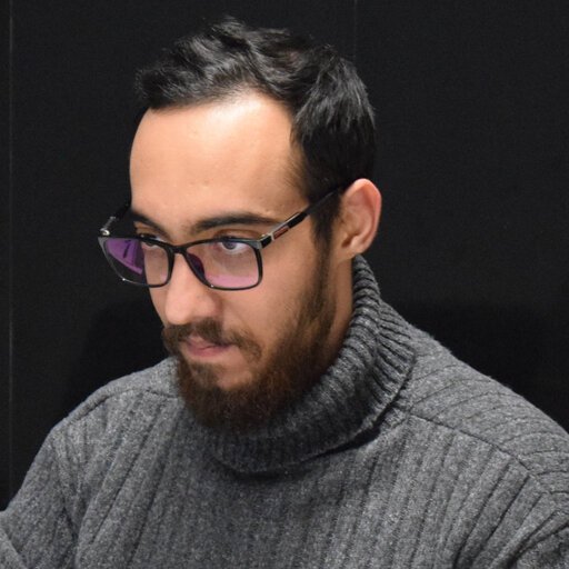 Ali Mortazavi