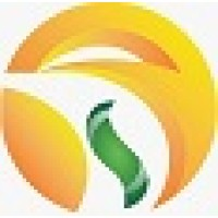 CICOSY logo