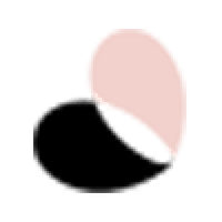 SocialFly logo