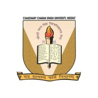 CCS University logo