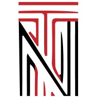 Nayyartech.ai logo