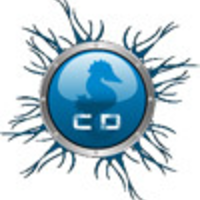 Caribbean-diving logo