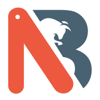 Network Bull logo