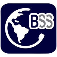 Binary Soft Solutions logo