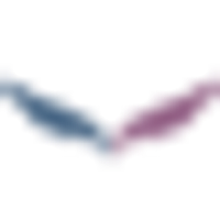 Wiser Educação logo