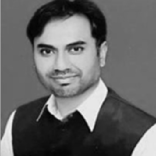 Adeel Hiader Naqvi