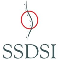 Six Sigma Development Solutions, Inc logo