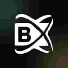 BlockchainX logo