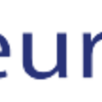 iNeuron logo