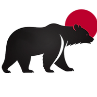 Bear Systems logo