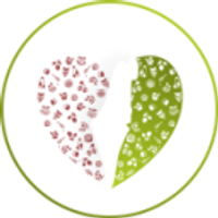 Lev Haolam logo