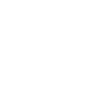 Vistula University logo