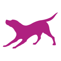 Turi Create logo