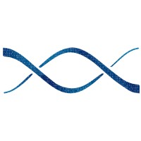 Digital network Access Inc. logo